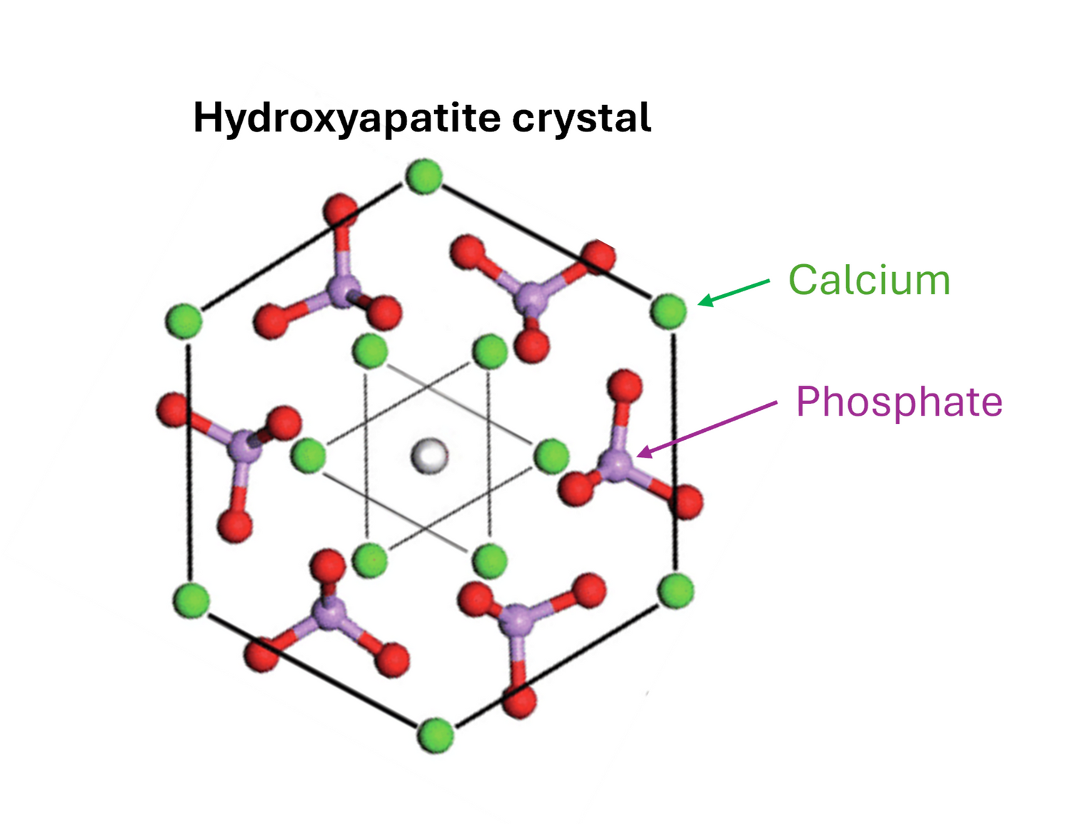 Diagram of a hydroxyapatite crystal with labeled calcium and phosphate atoms on a white background.